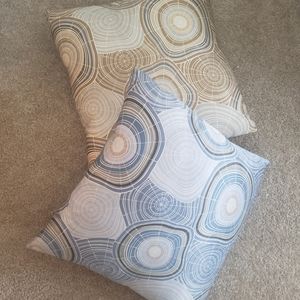 2 West Elm Silk 20"x20" Throw Pillows